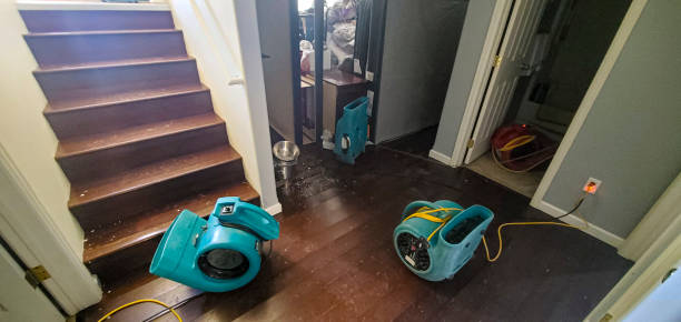 Best Water damage cleanup near me  in Charlottesville, VA