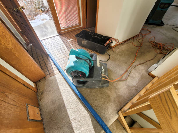 Best Water damage restoration near me  in Charlottesville, VA