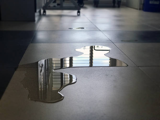 Local water damage restoration in VA