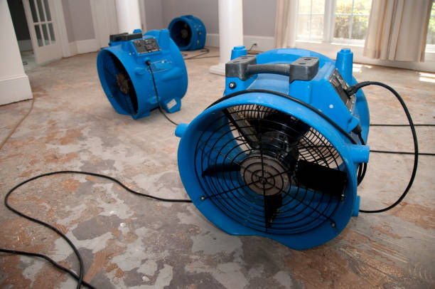 Best Water damage contractors near me  in Charlottesville, VA