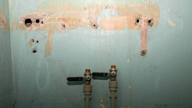 Best Flood damage cleanup  in Charlottesville, VA