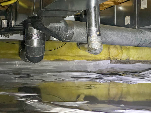Best Water damage restoration insurance claims  in Charlottesville, VA