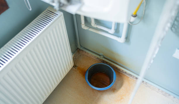 Best Carpet water damage restoration  in Charlottesville, VA
