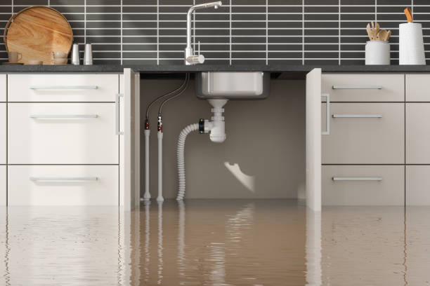 Best Water damage cleanup near me  in Charlottesville, VA