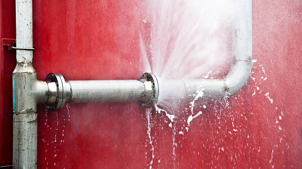 Best Mold removal after water damage  in Charlottesville, VA